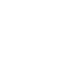 Level