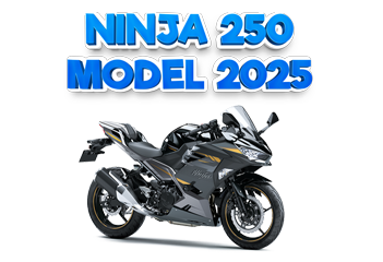 Ninja 2025